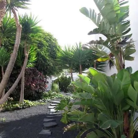 アパート Sleeps 6 Pool Wifi Nazaret